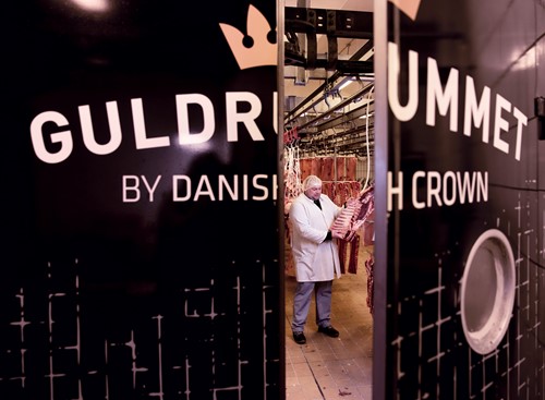 guldrummet stand.jpg