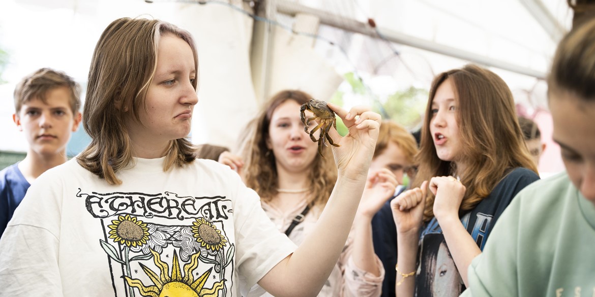 Tre nyheder fra årets program: En folkemøde-is, kendte værter og nye producenter