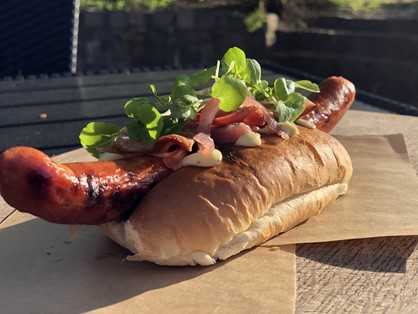 Gourmet Hotdog (1)