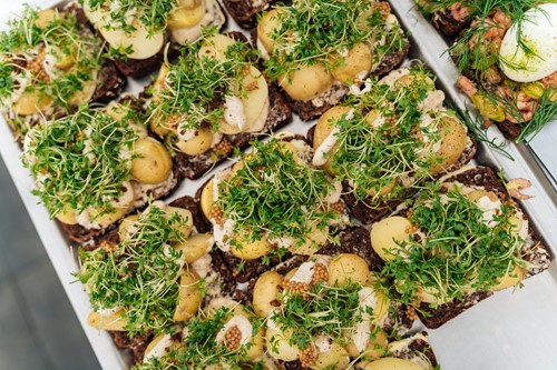 Madens Folkemøde 2025 Yunseo Jeong 083